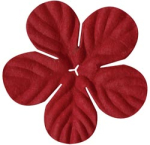 BAZ Paper Flowers; Tropical; Kisses