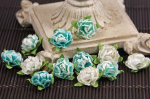 Cameo roses-turquoise